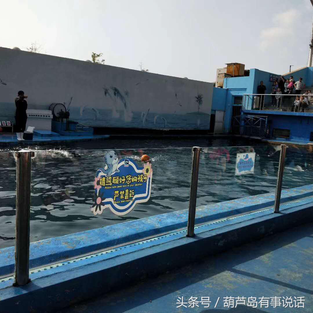 2025新澳天天彩资料大全最新版本的警惕虚假宣传-全面释义、专家全面认真解释与落实