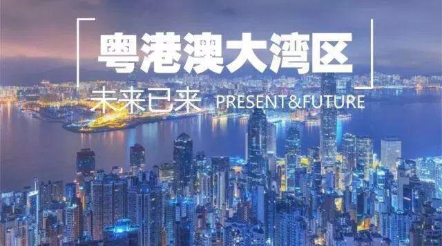 2025年新澳门和香港天天免费精准大全全面释义、解释与落实